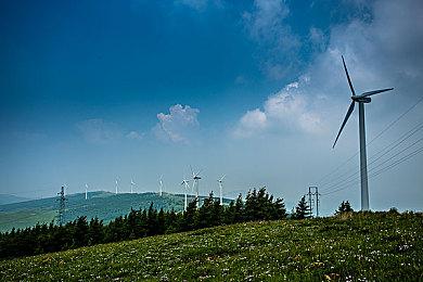 Epic喜加二：《辐射3年度版》《进化之地：传奇版》免费领